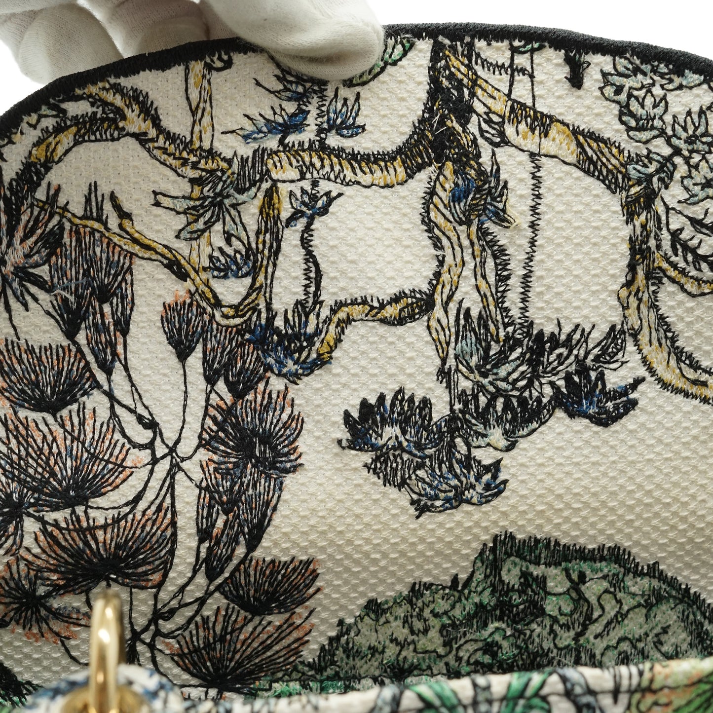 Lady Dior Medium Embroidered D-Lite
