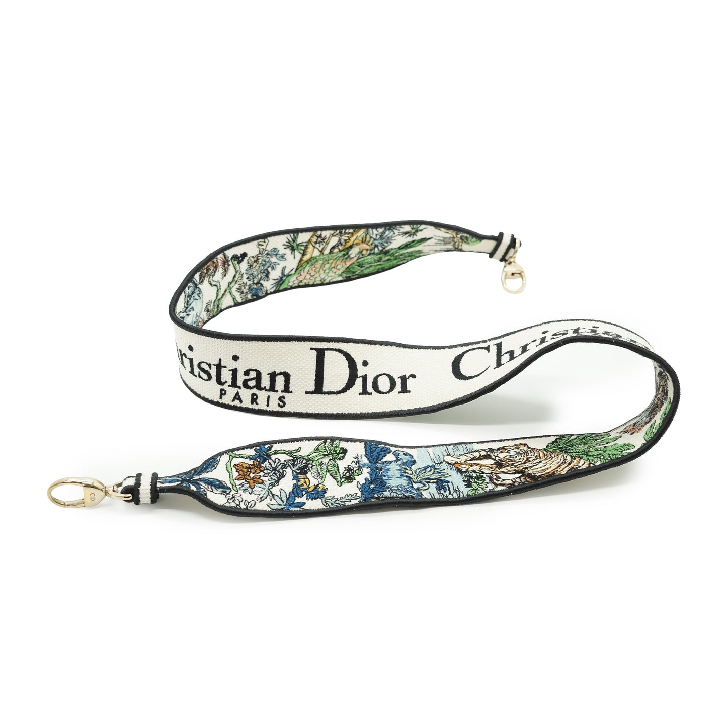 Lady Dior Medium Embroidered D-Lite