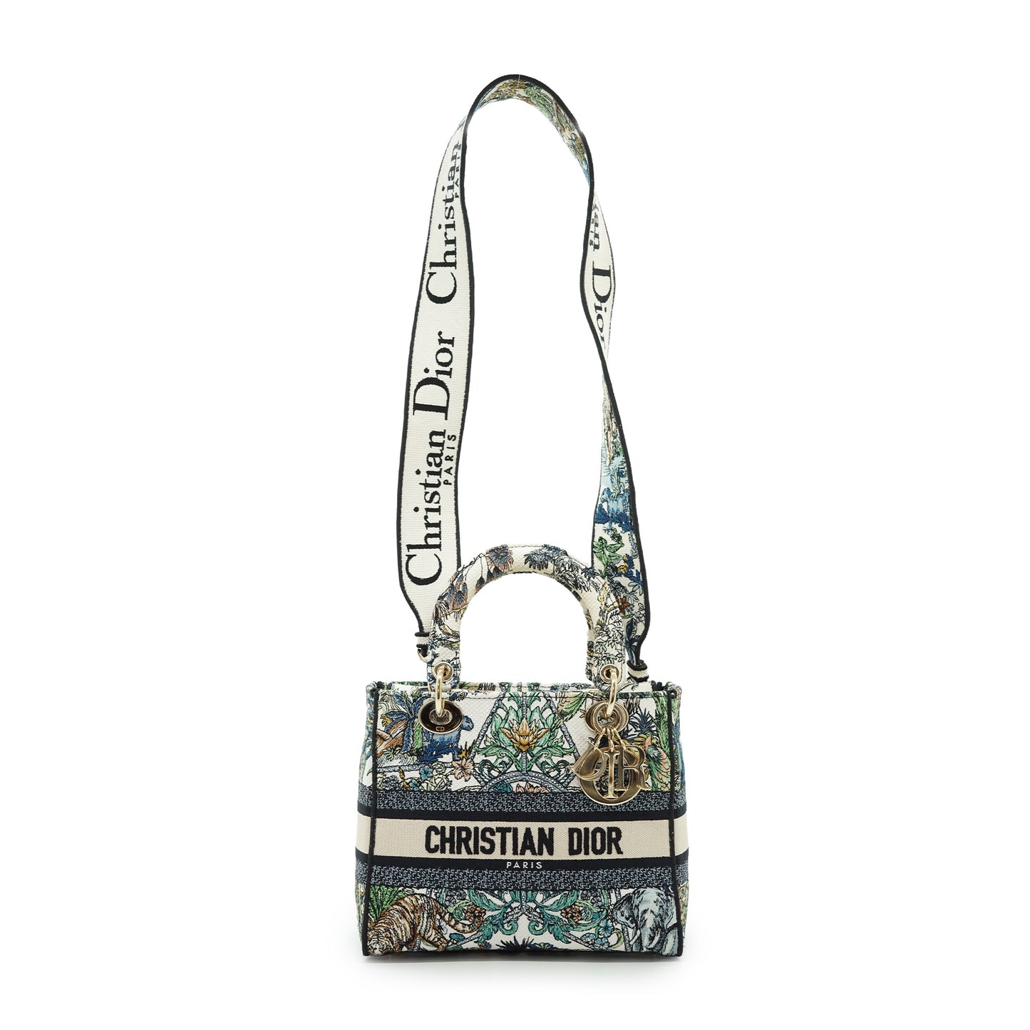 Lady Dior Medium Embroidered D-Lite