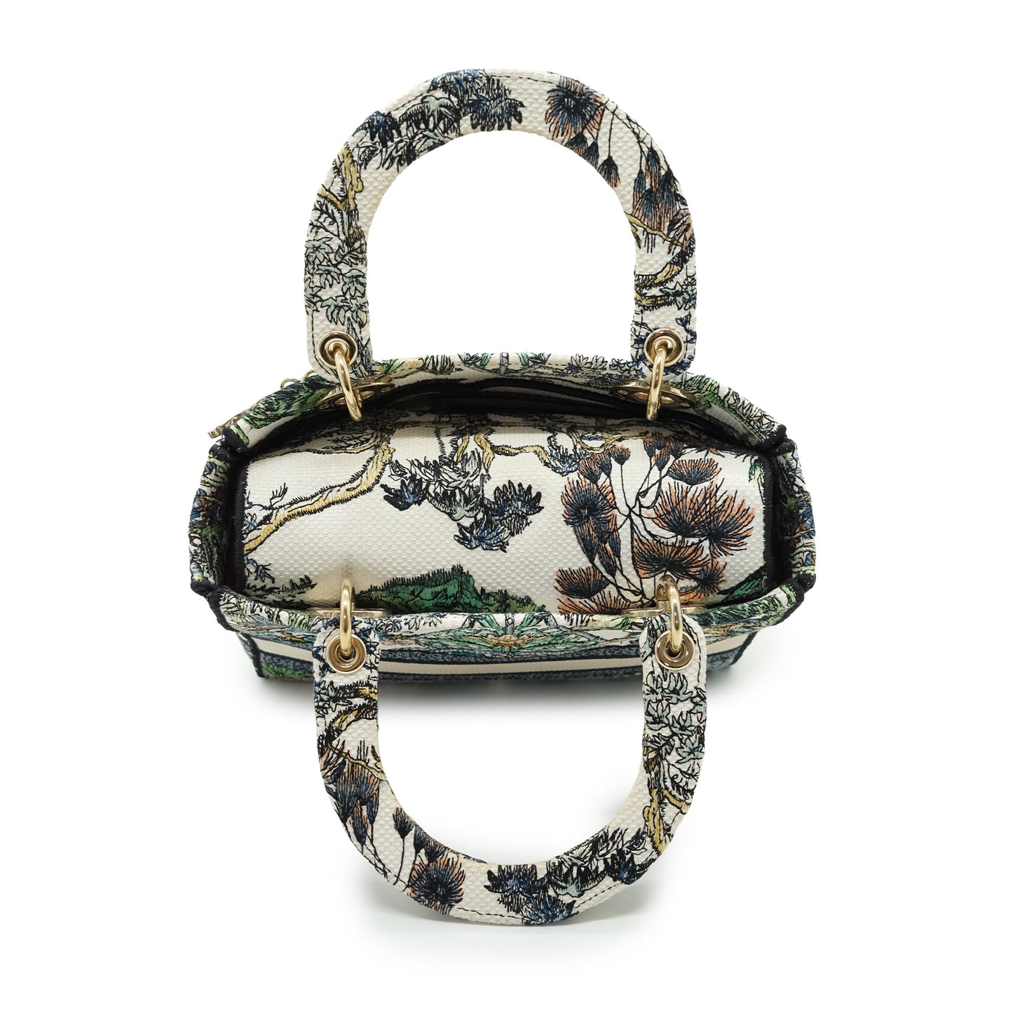 Lady Dior Medium Embroidered D-Lite