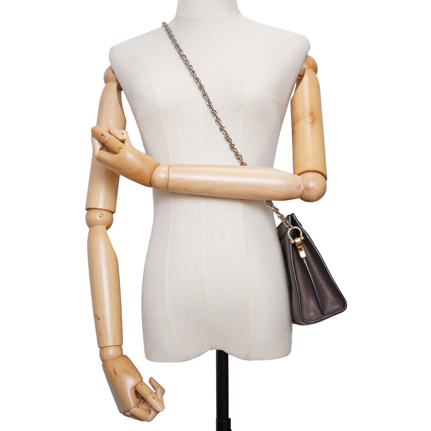 GG Supreme Ophidia Small Chain Shoulder Bag