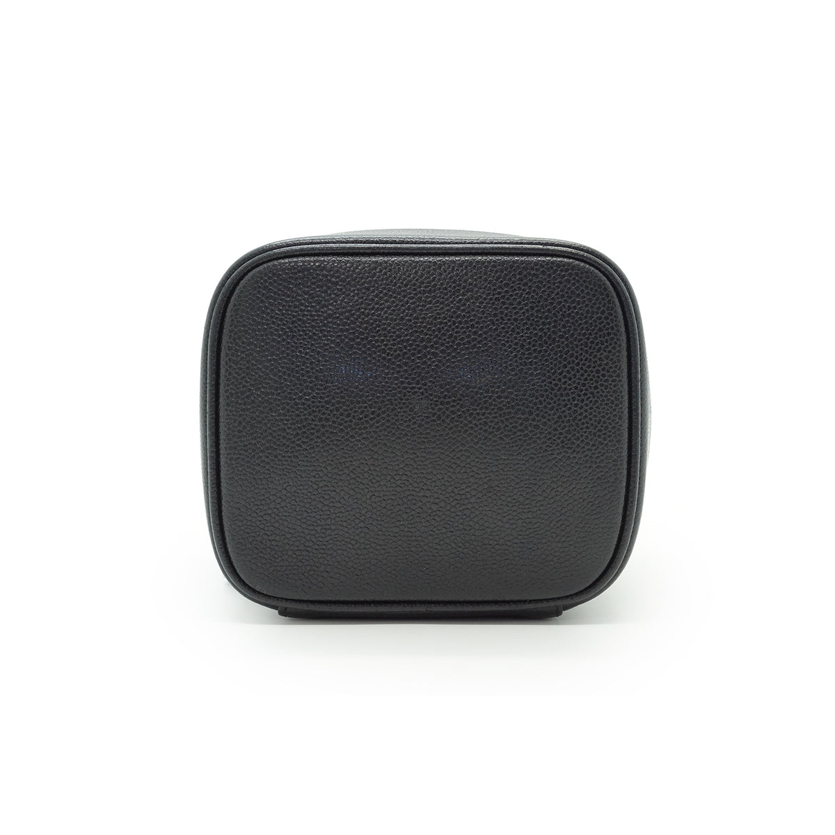 Caviar Skin Vertical Vanity Bag