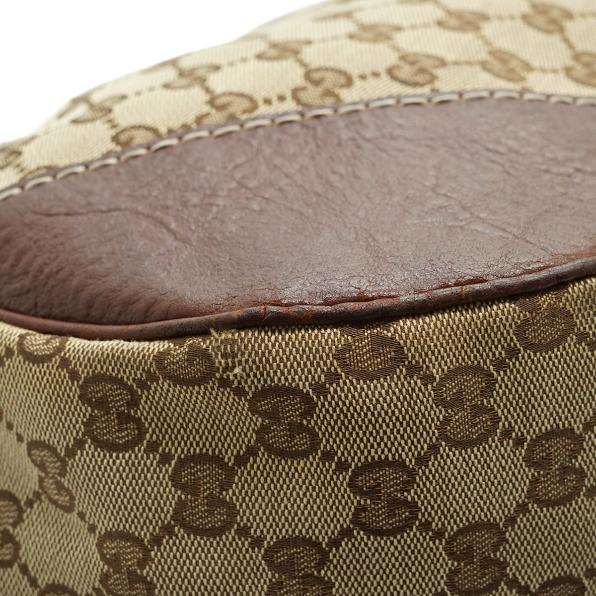 GG Canvas Charlotte Hobo Bag