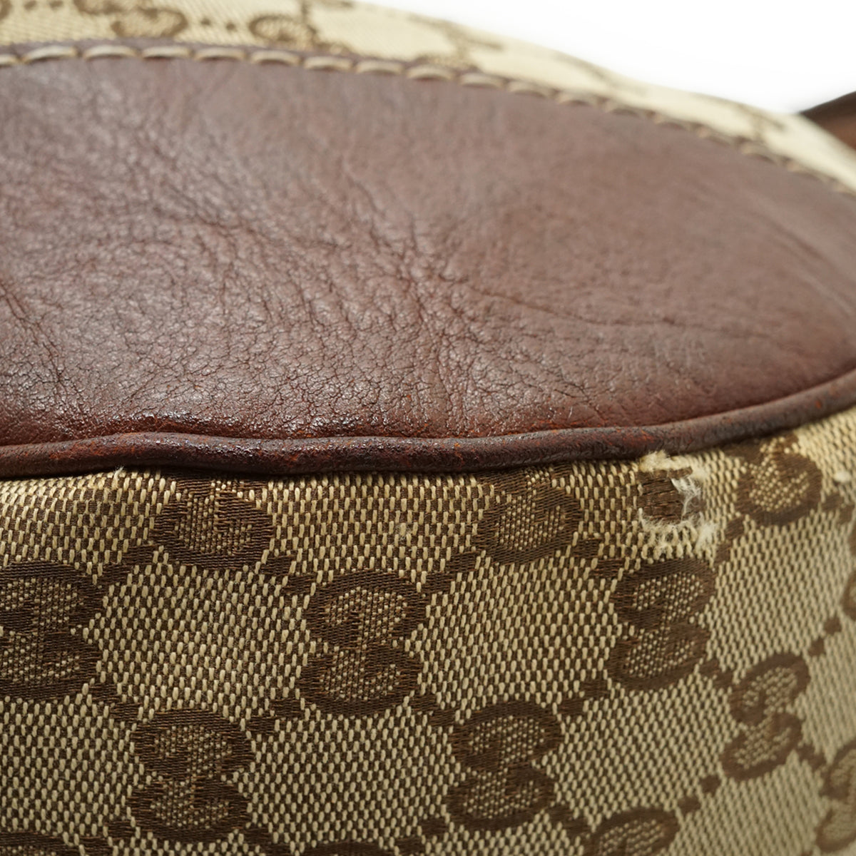 GG Canvas Charlotte Hobo Bag