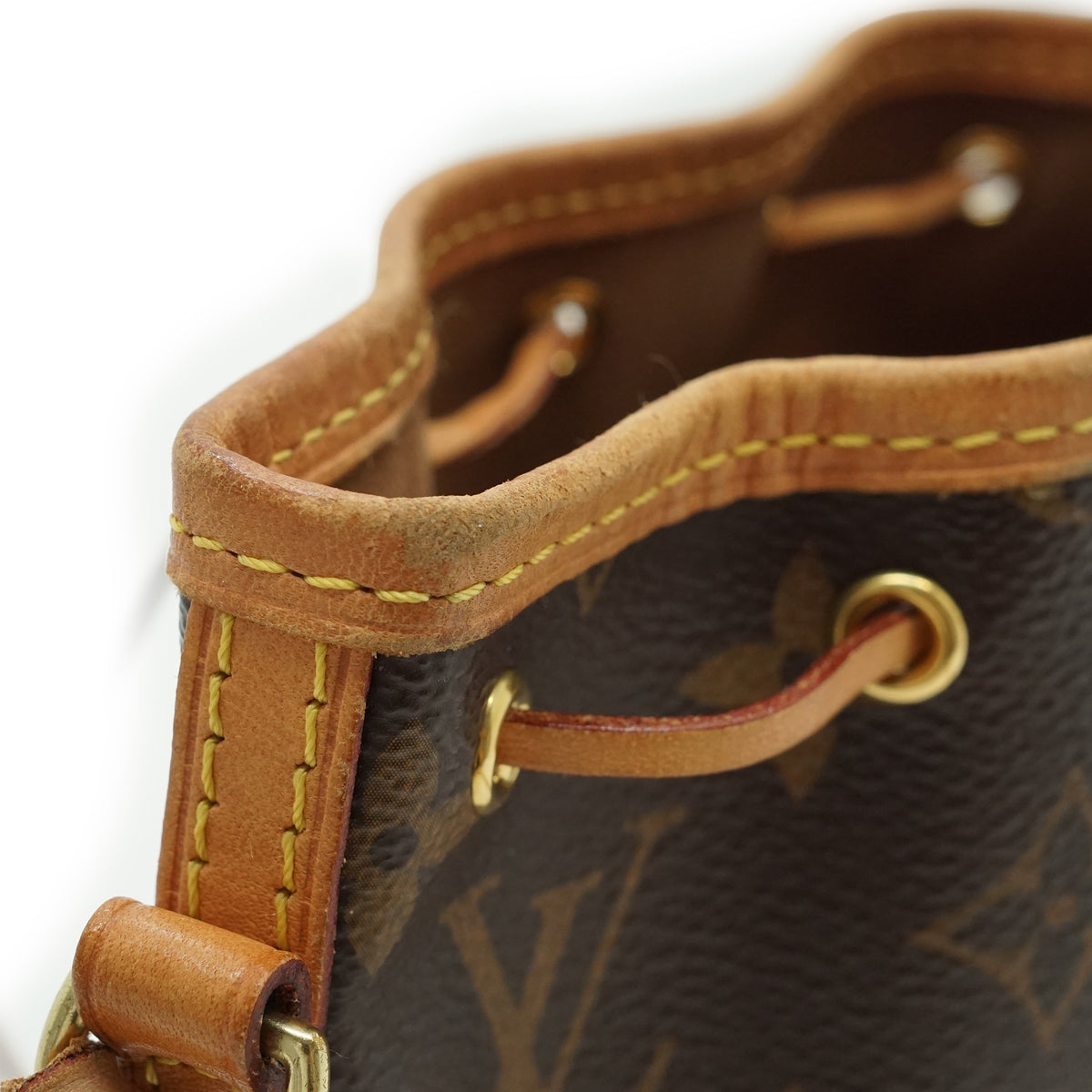 Monogram Nano Noé