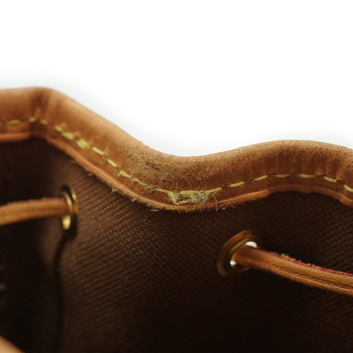 Monogram Nano Noé