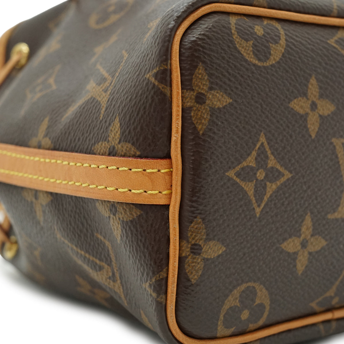 Monogram Nano Noé