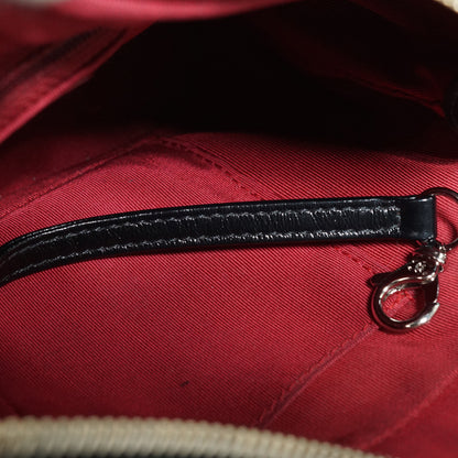 Gabrielle Calfskin Small Chain Hobo Bag