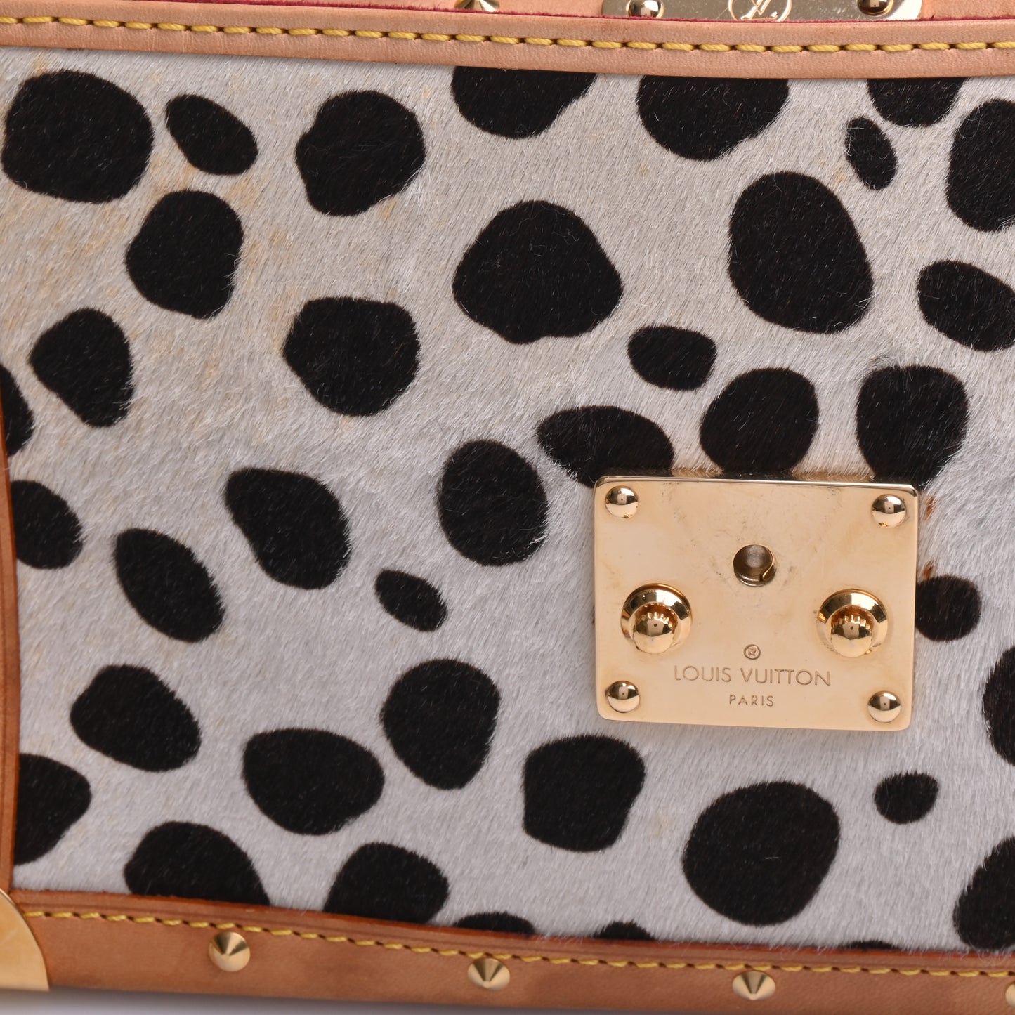 Pochette Dalmatian TH0073