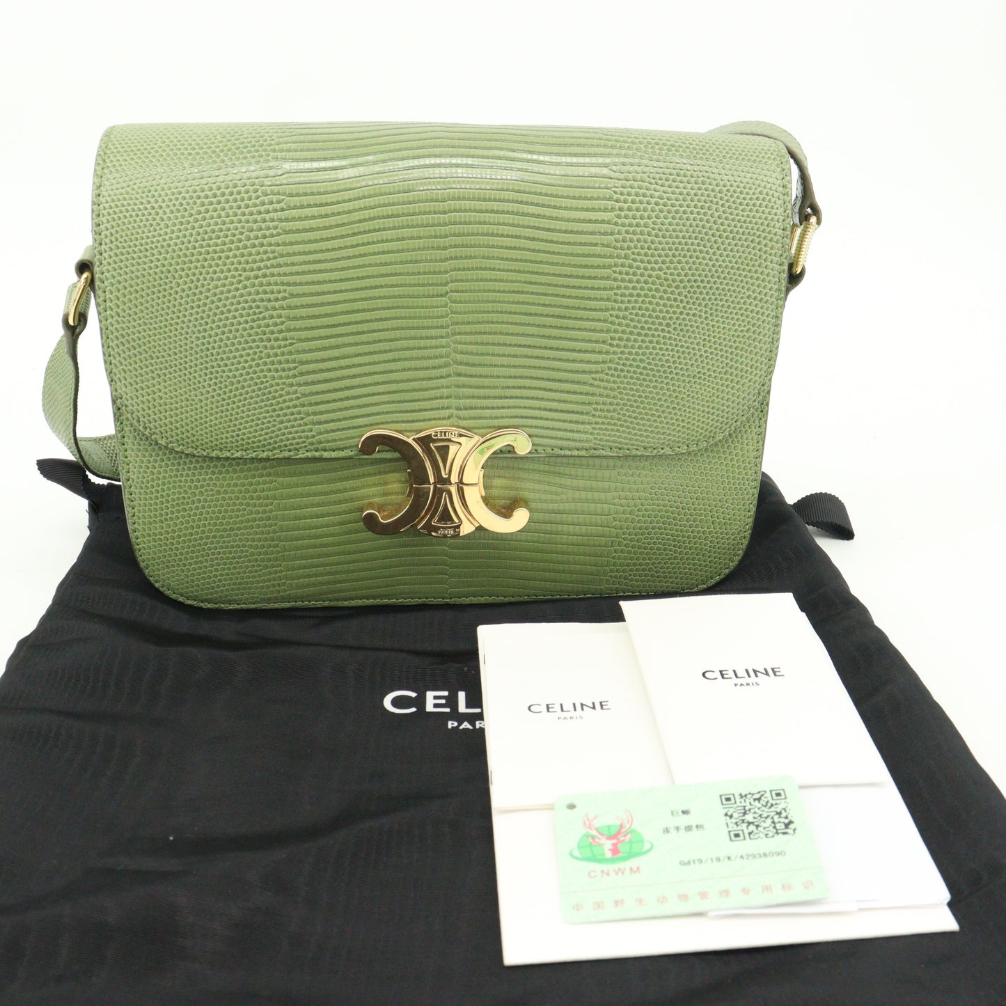 Lizard Triomphe Shoulder Bag Green