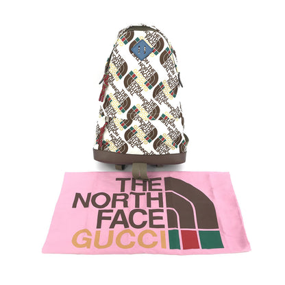 Gucci Gucci x The North Face Medium Backpack