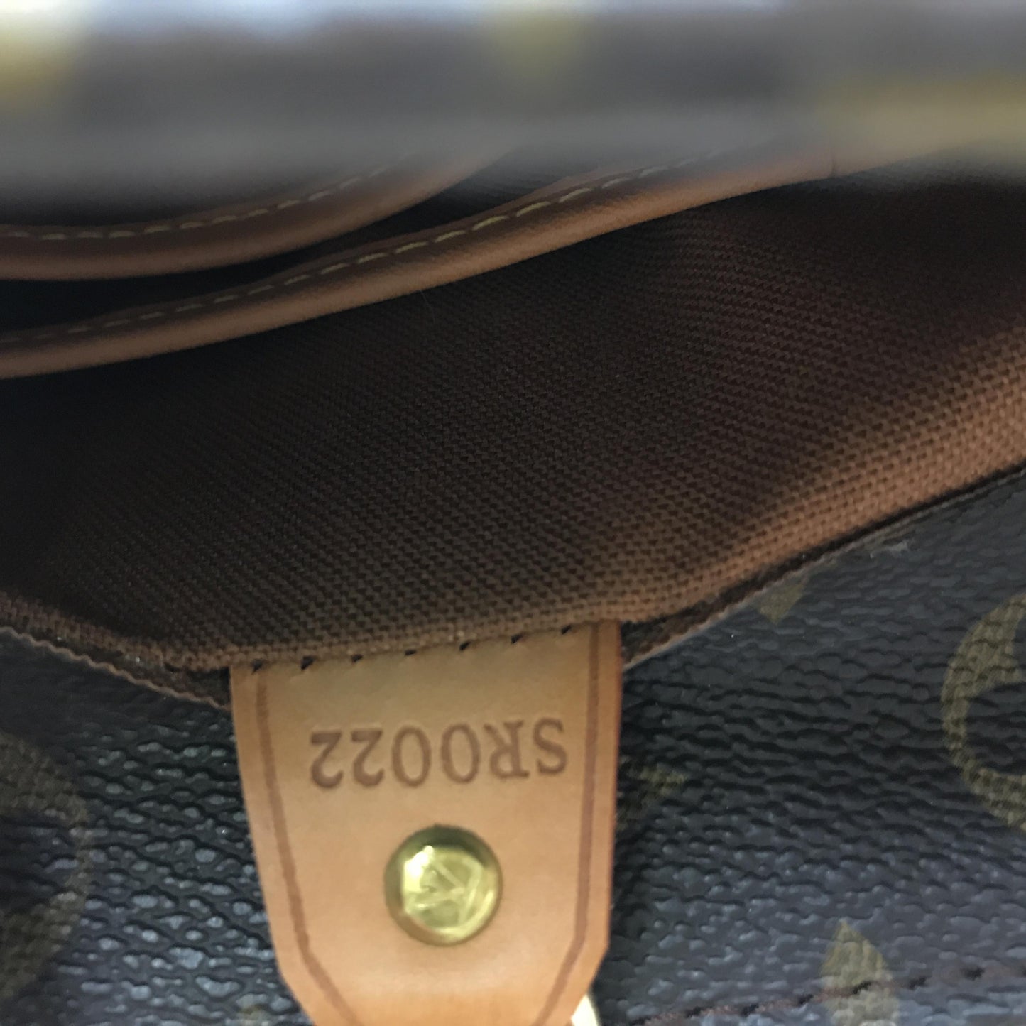 Louis Vuitton Monogram Vavin GM Tote Bag