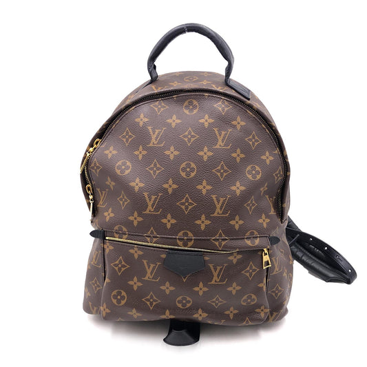 Louis Vuitton Palm Springs Backpack MM Monogram Canvas