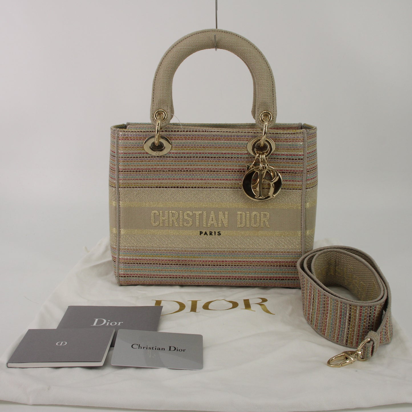 Canvas Lady Dior 2WAY Handbag Multi G Hardware