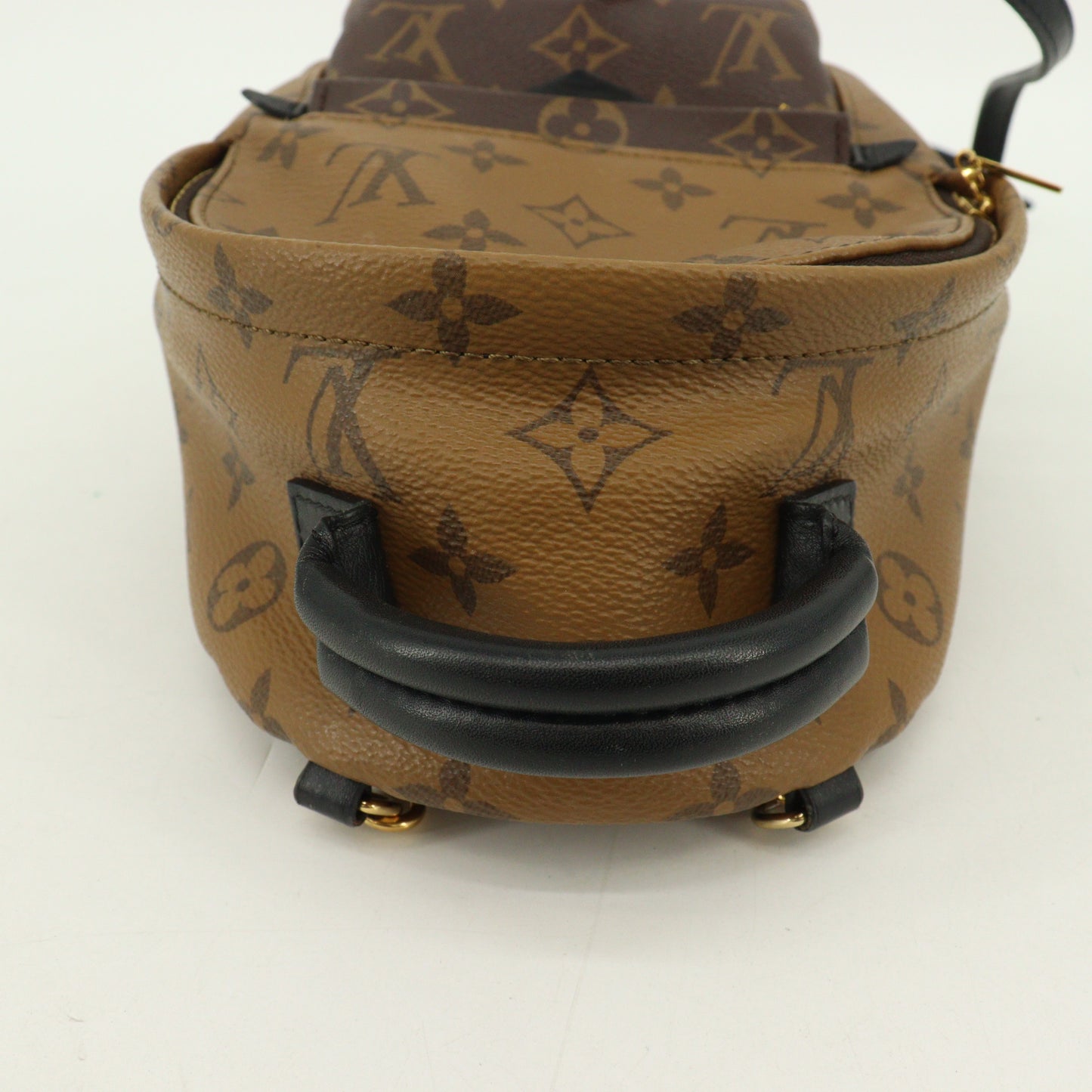 Monogram Reverse Palm Springs Backpack MINI FL0168