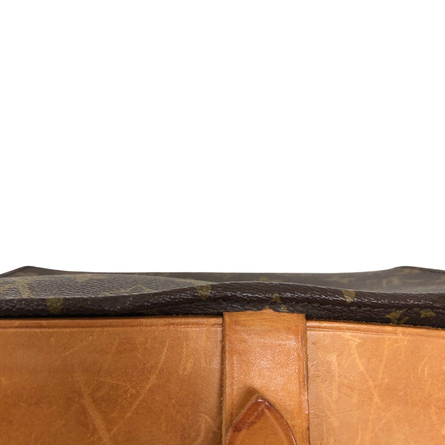 Monogram Cartouchiere MM