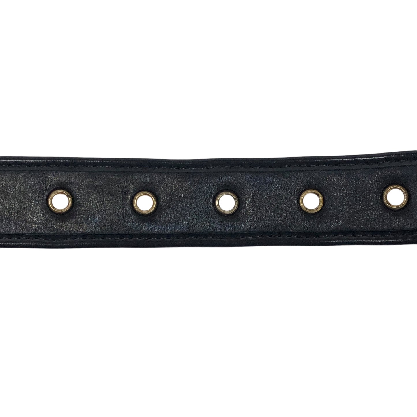 Trotter Belt