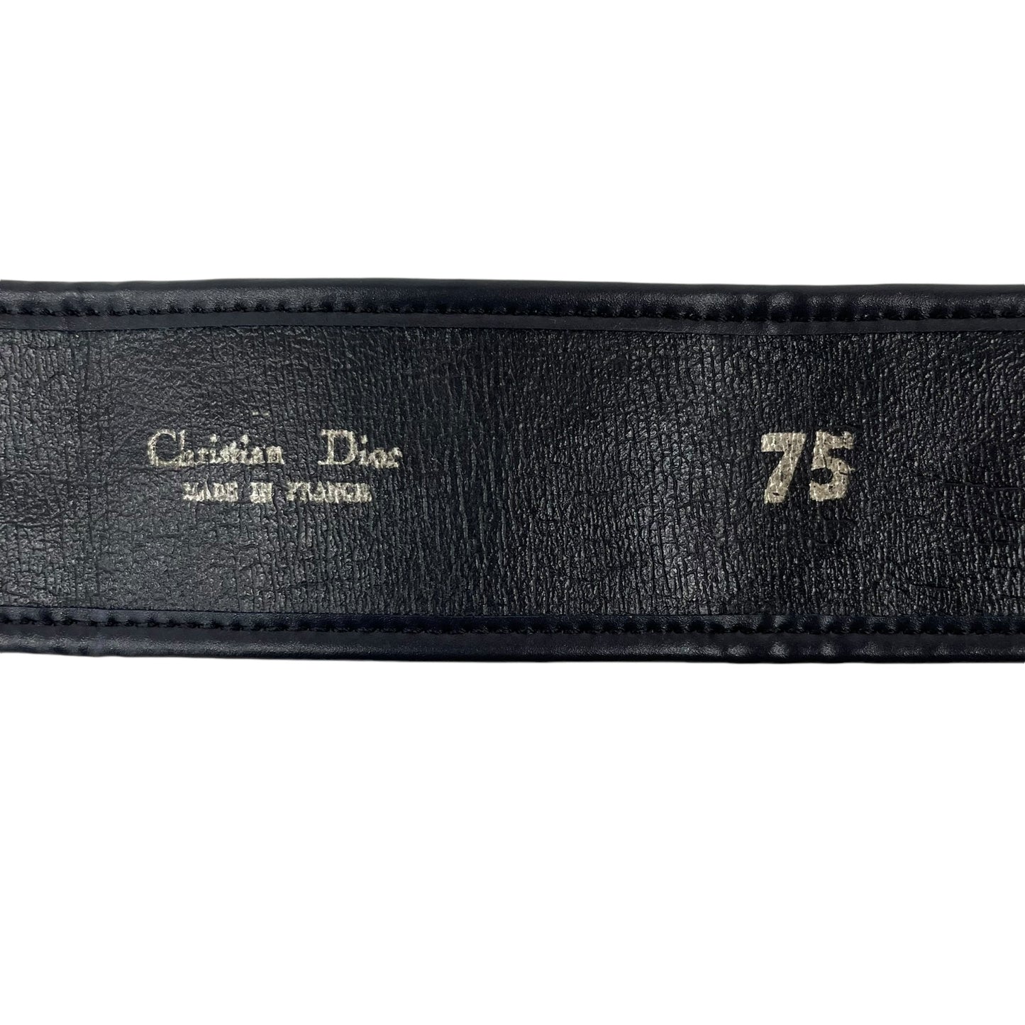 Trotter Belt