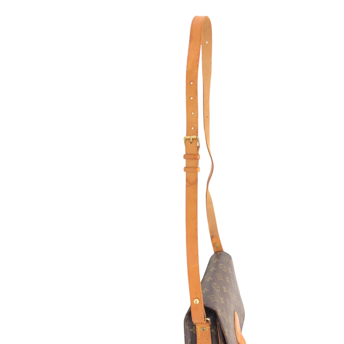 Monogram Cartouchiere MM