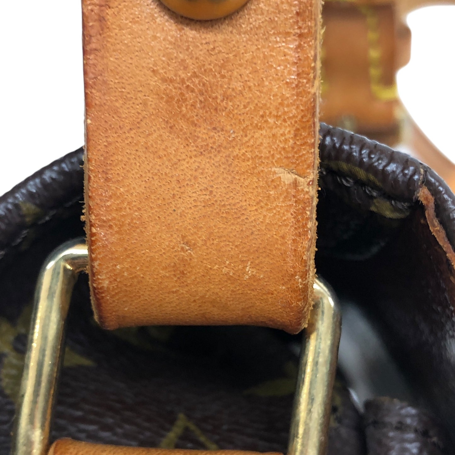 Monogram Cartouchiere MM