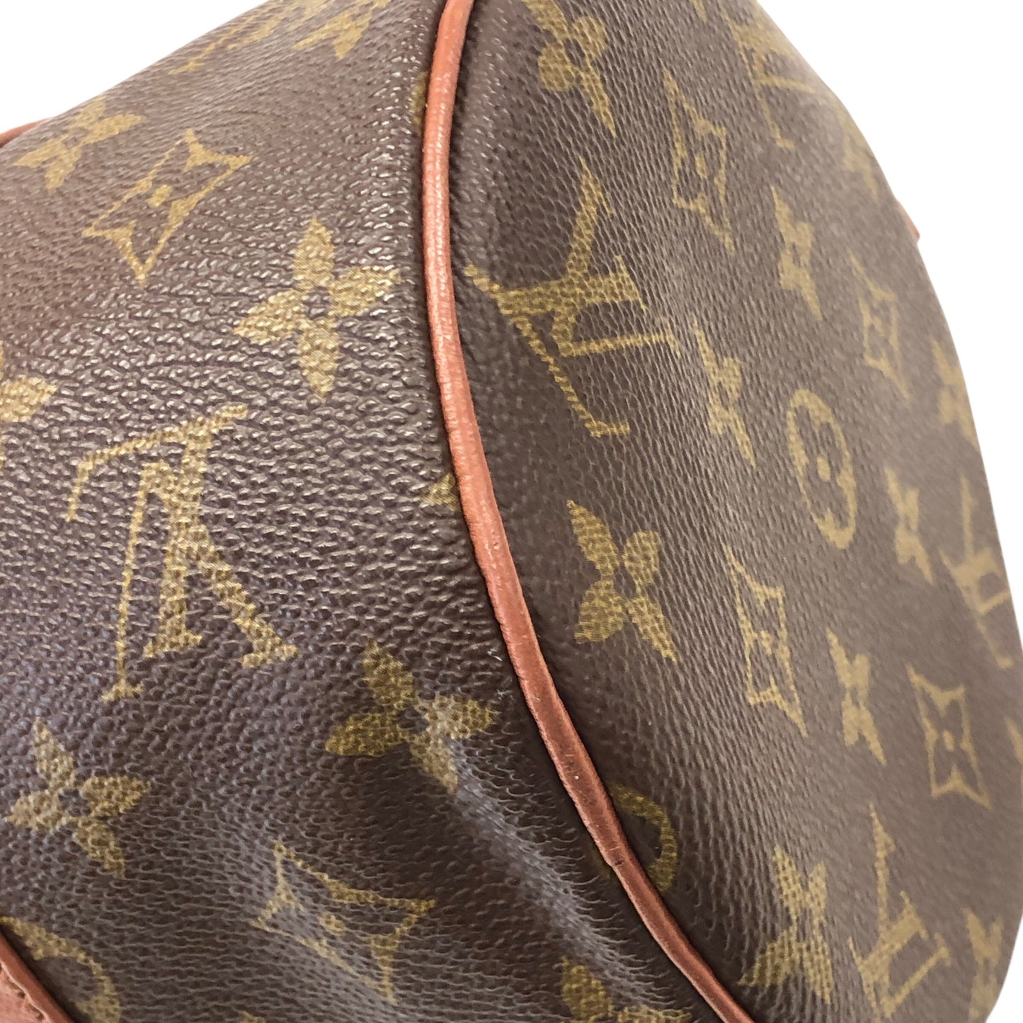Monogram Papillon 30