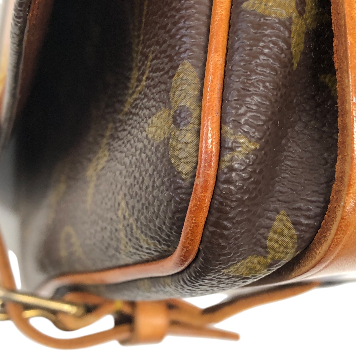 Monogram Cartouchiere MM