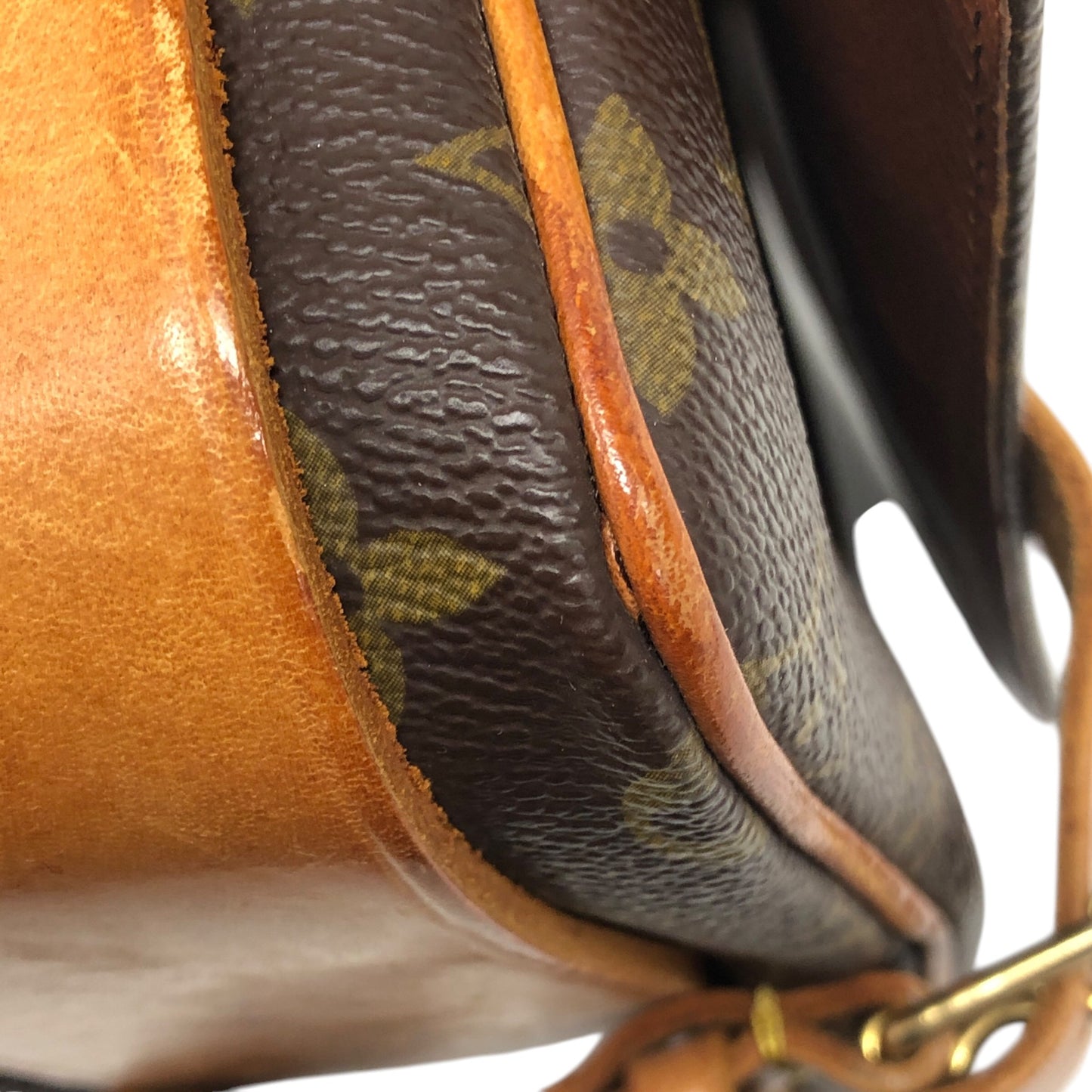 Monogram Cartouchiere MM