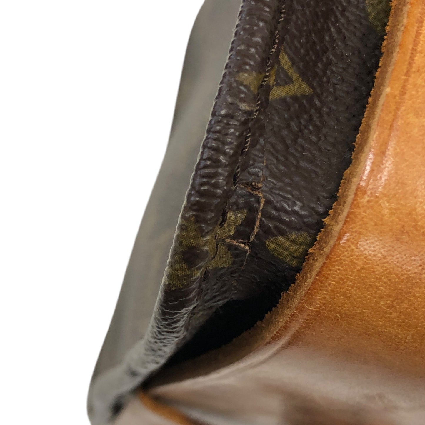 Monogram Cartouchiere MM