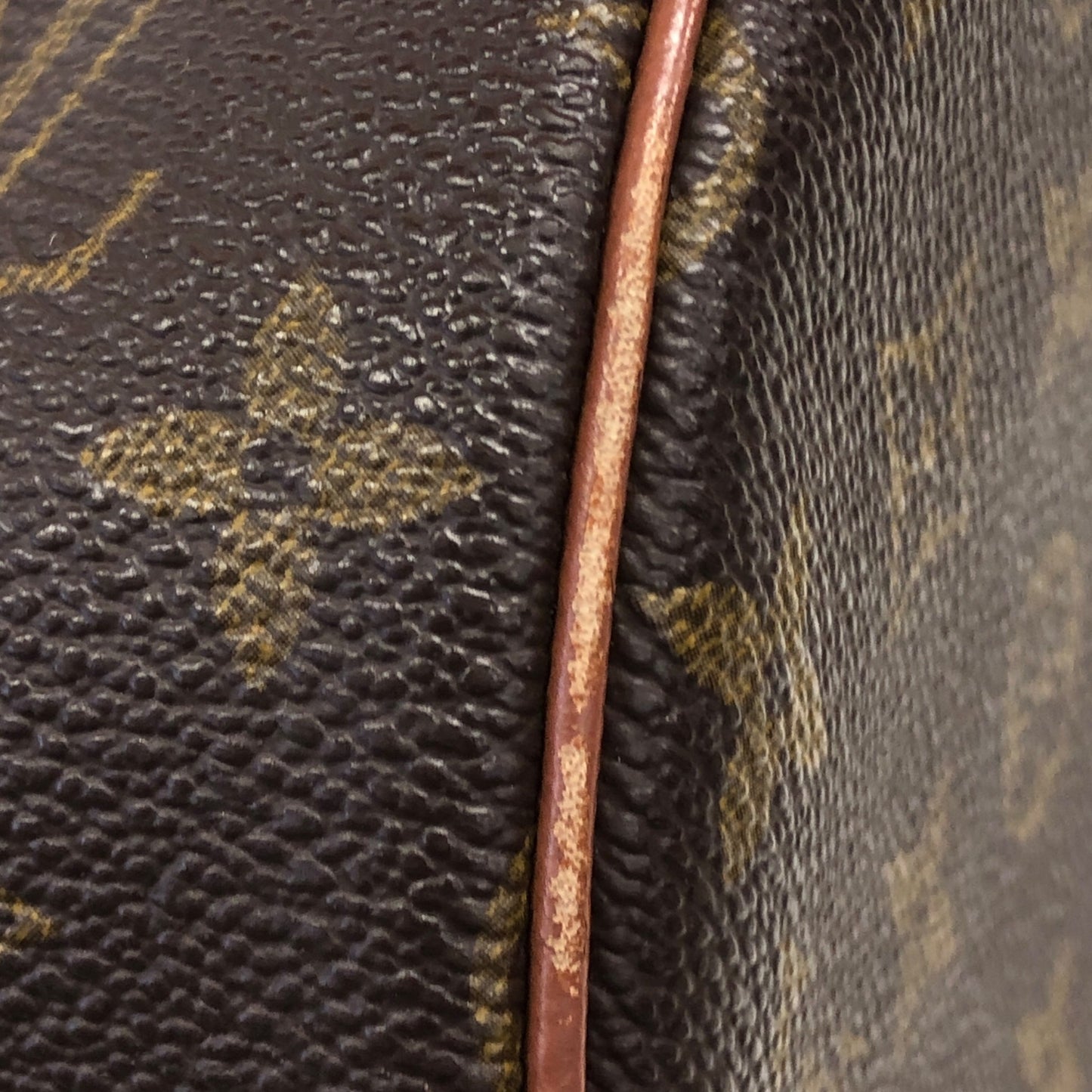 Monogram Papillon 30
