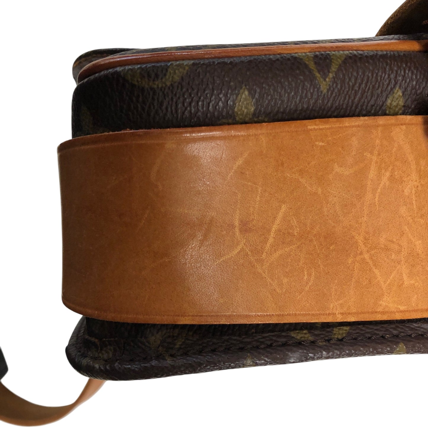 Monogram Cartouchiere MM