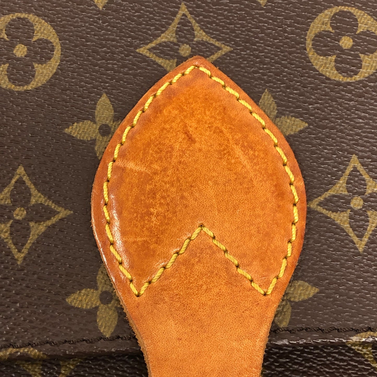 Monogram Cartouchiere MM